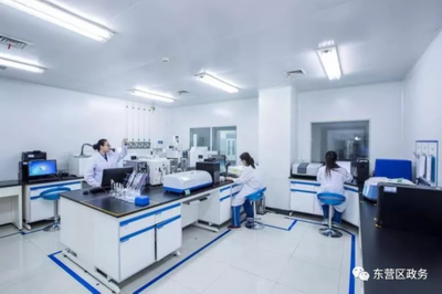 東營(yíng)區(qū)中小企業(yè)發(fā)展跑出“加速度”，藥品研發(fā)成為新引擎