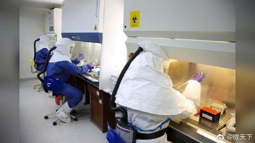 藥品研發(fā) 不可或缺的生命保障