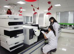 組合拳 藥品研發(fā)領(lǐng)域打出外貿(mào)轉(zhuǎn)型升級(jí)新境界