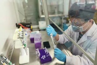 抗癌新突破 創(chuàng)新企業(yè)研發(fā)誘導(dǎo)癌細(xì)胞休眠新藥